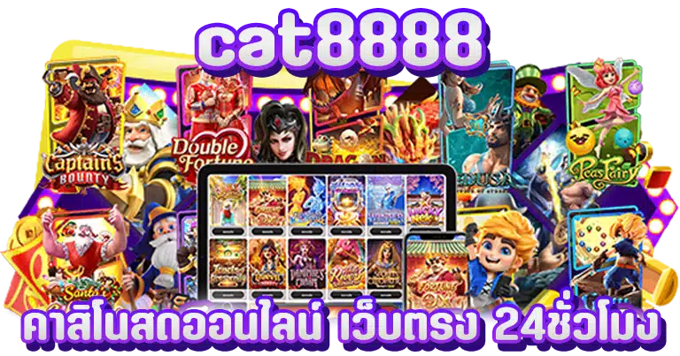 cat8888 คาสิโนสดออนไลน์ เว็บตรง 24ชั่วโมง