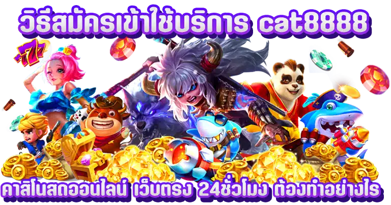 cat8888 คาสิโนสดออนไลน์ เว็บตรง 24ชั่วโมง